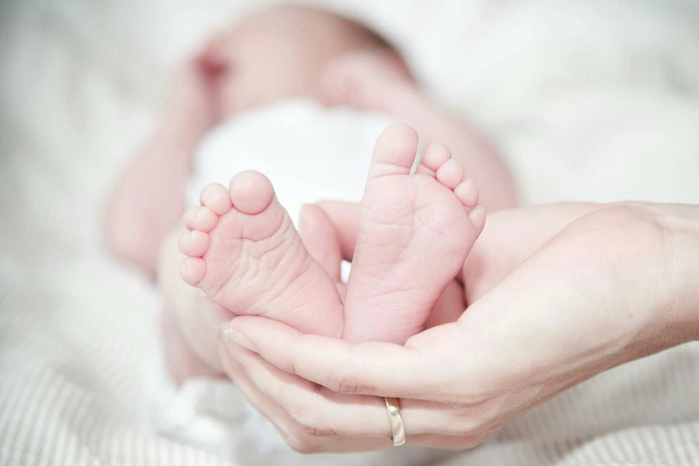 Mỗi người cần sinh bao nhiêu con để nhân loại không tuyệt chủng?