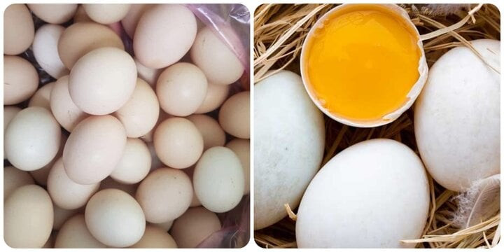 Những lợi ích của ăn trứng vịt vào mùa hè