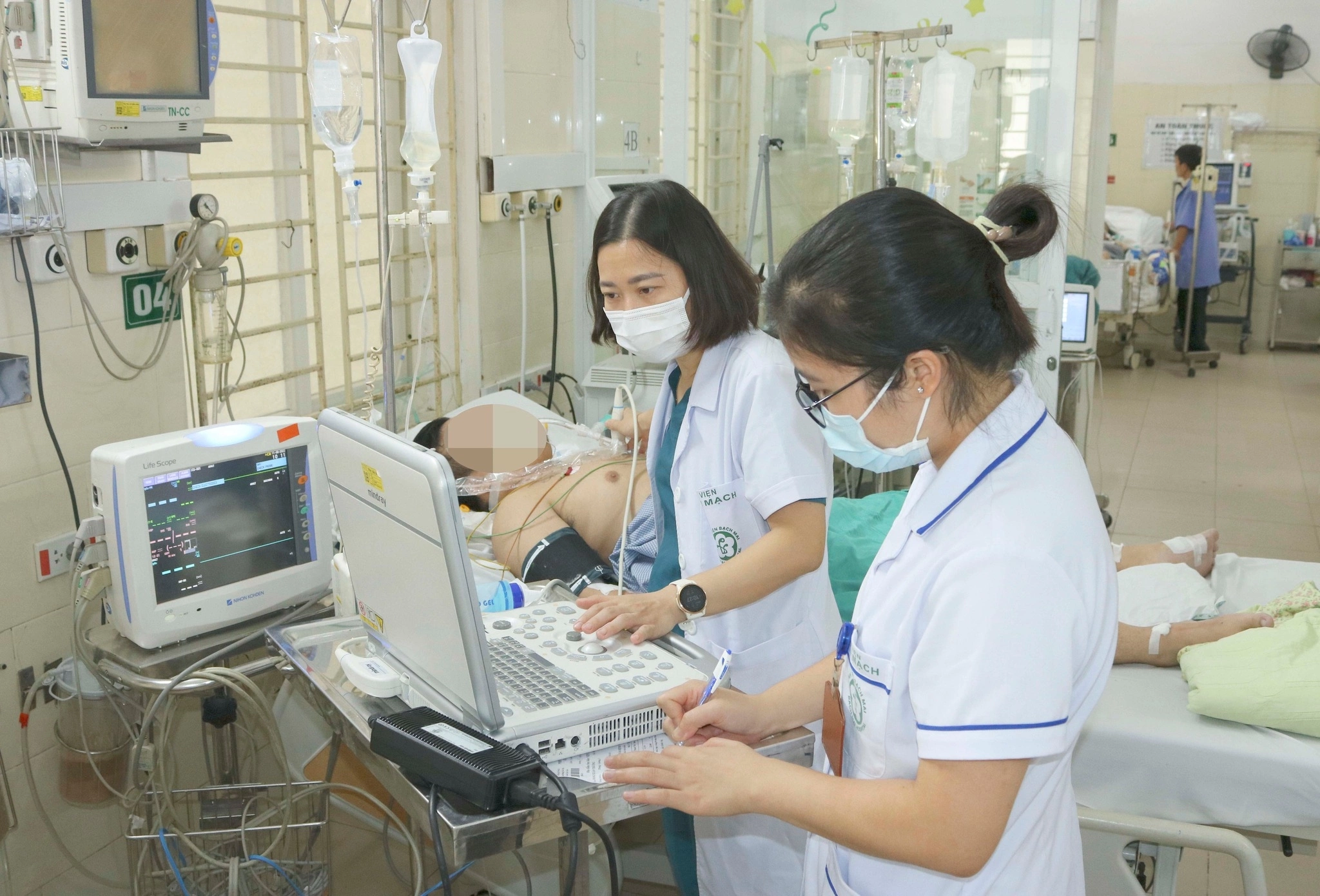 Sốt xuất huyết tấn công cơ thể thế nào