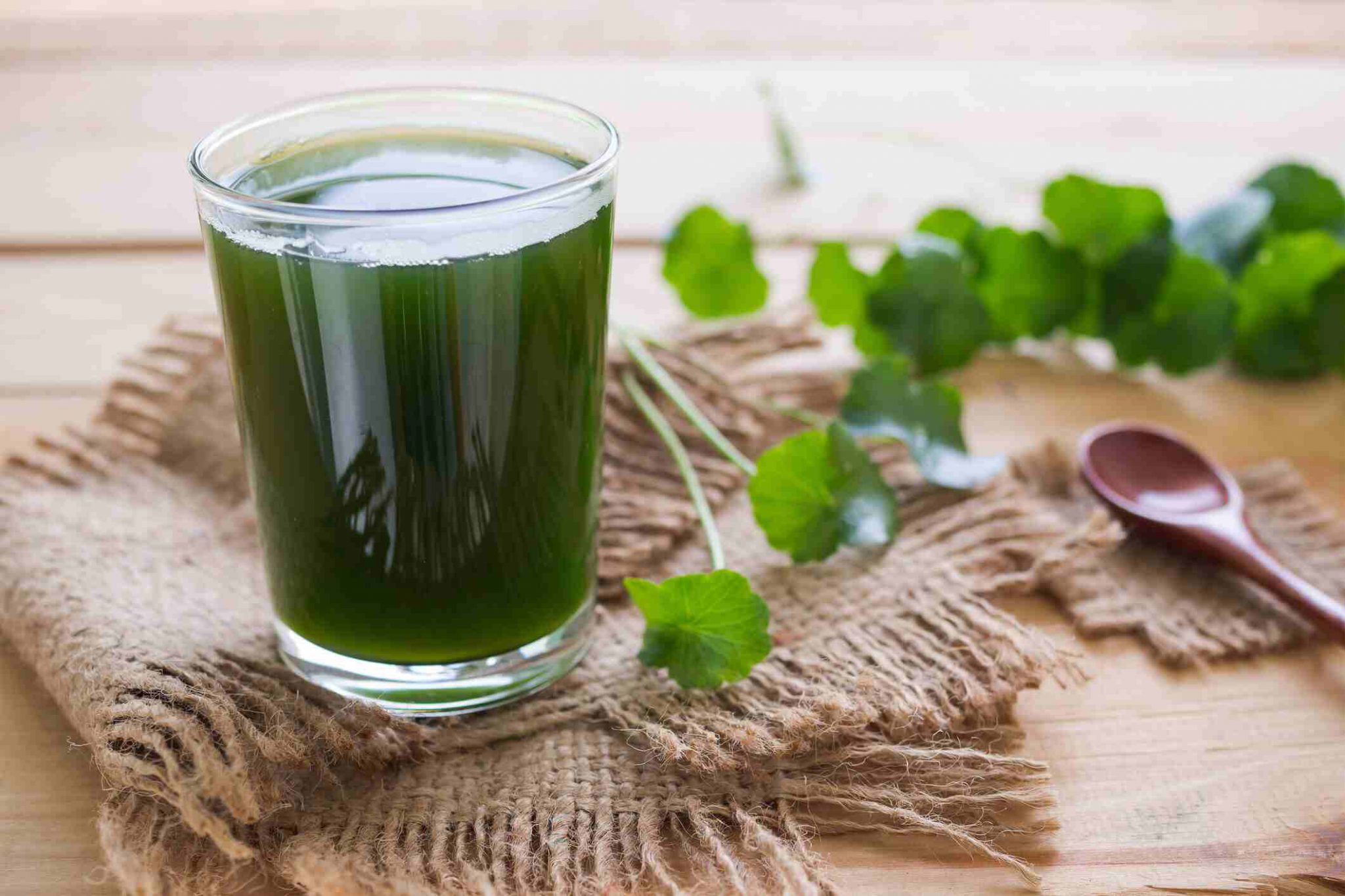 Món ăn bài thuốc hỗ trợ trị rối loạn tiêu hóa mùa hè