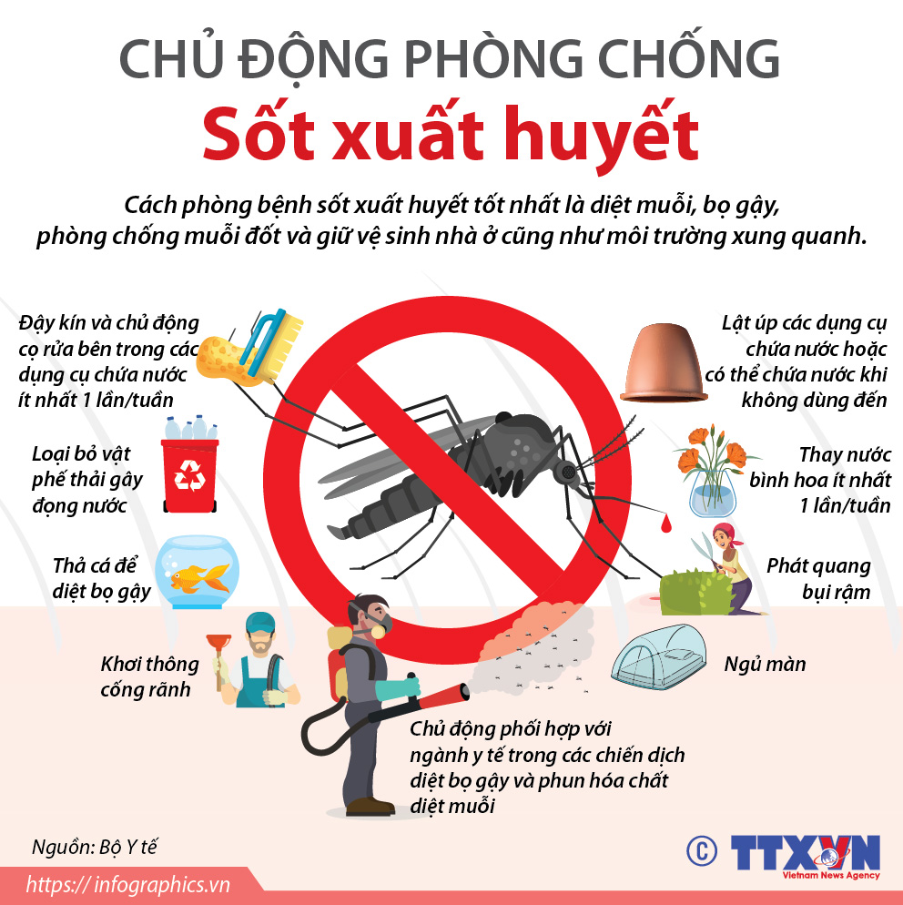 Chủ động phòng chống sốt xuất huyết trước mùa cao điểm