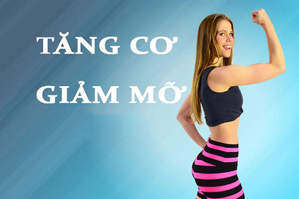 Cách tính calo cho người tập luyện nhẹ để duy trì cân nặng và tăng cơ