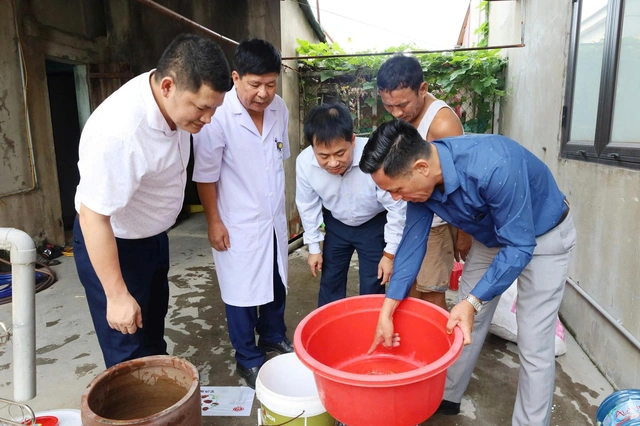 Dịch sốt xuất huyết tăng, Hà Tĩnh khẩn cấp phòng chống