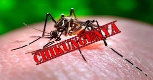 Bộ Y tế bác tin Việt Nam có ca mắc bệnh Chikungunya