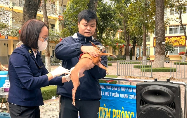 Phòng chống bệnh dại: 'Hành động ngay, vì bạn, vì tôi, vì cộng đồng'
