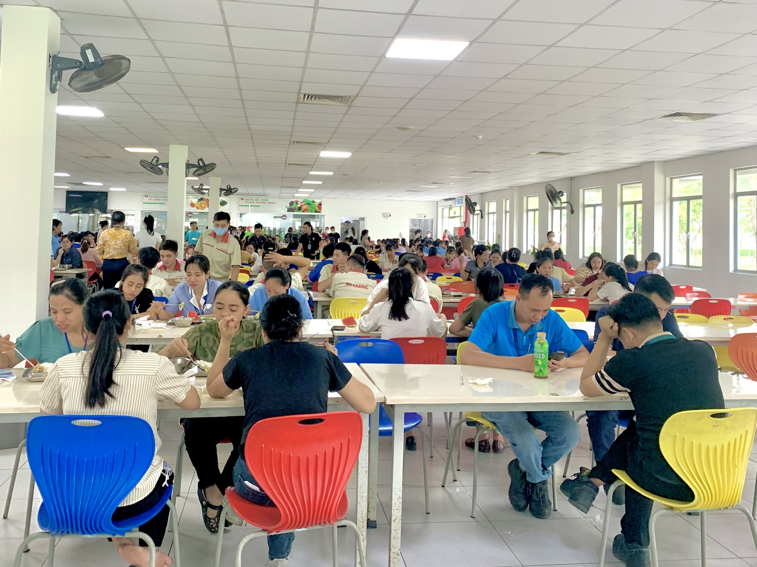 Dici Catering: Mỗi bữa ăn là một khoản đầu tư cho tăng trưởng bền vững