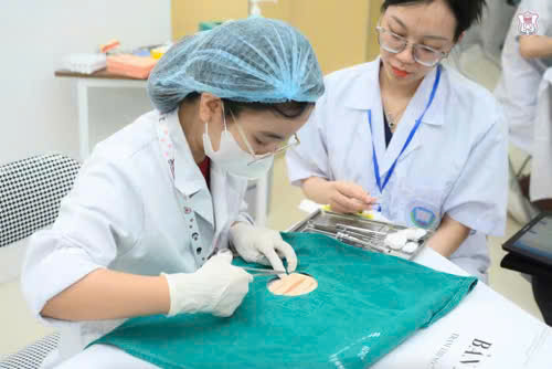 Ở Việt Nam có bao nhiêu trường đào tạo bác sĩ?