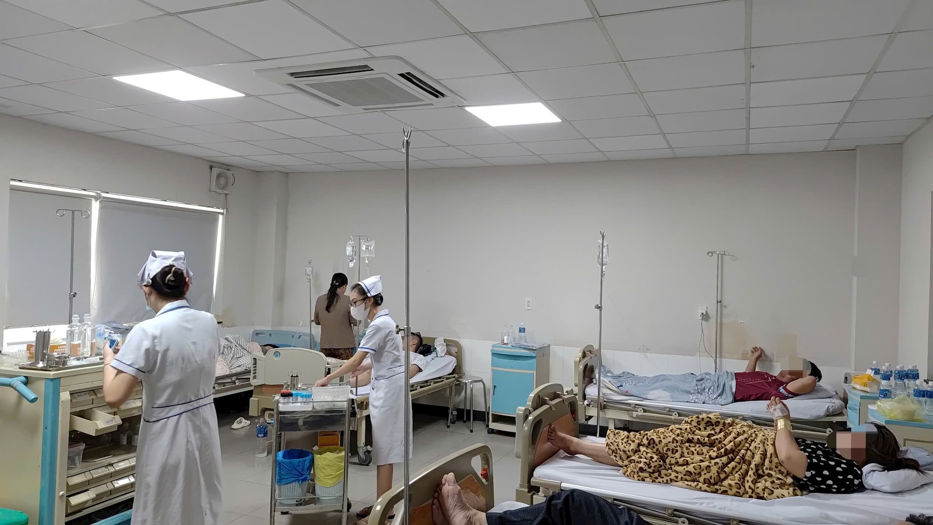 Bộ Y tế chỉ đạo điều tra nghi vấn ngộ độc thực phẩm sau khi ăn bánh mì tại Lâm Đồng Bộ Y tế chỉ đạo điều tra nghi vấn ngộ độc thực phẩm sau khi ăn bánh mì tại Lâm Đồng