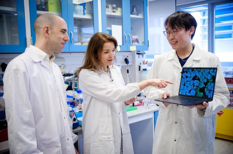 Singapore phát hiện phương pháp mới vô hiệu hóa vi khuẩn kháng kháng sinh