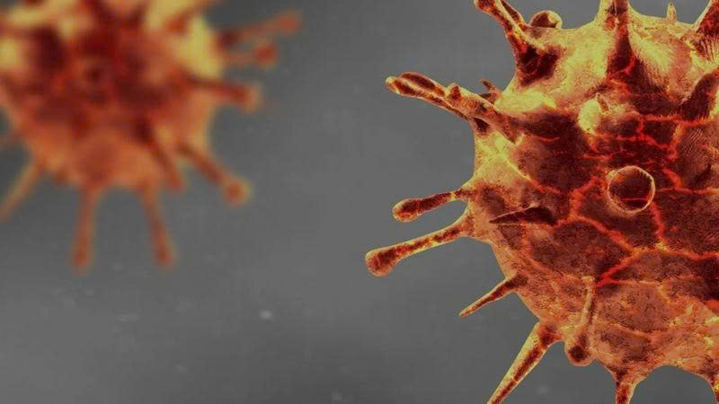 Bệnh Whitmore làm 23 người tử vong tại Thái Lan, Bộ Y tế khuyến cáo người dân 8 biện pháp phòng chống