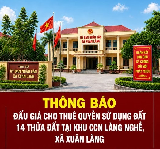 Xuân Lãng: Đấu giá 14 ô đất tại CCN làng nghề Thanh Lãng, khởi điểm từ 11 triệu đồng/m2