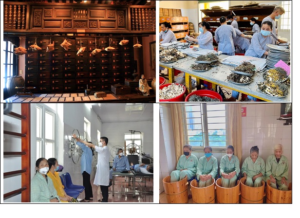 Phát triển y học cổ truyền Việt Nam toàn diện, hiện đại, hội nhập quốc tế